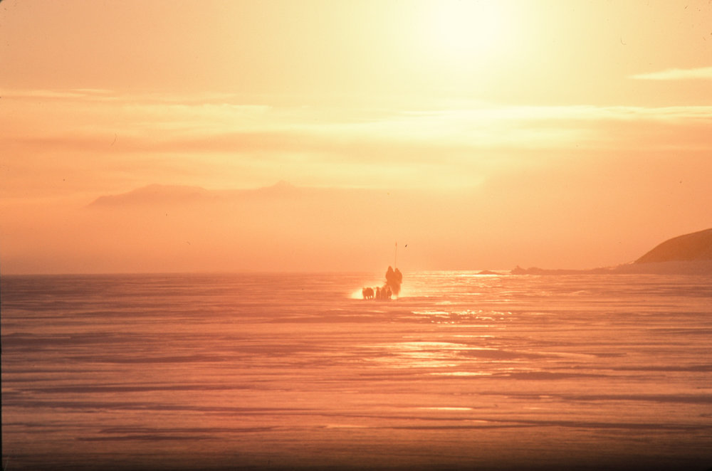 Husky Team returns from Handover trip