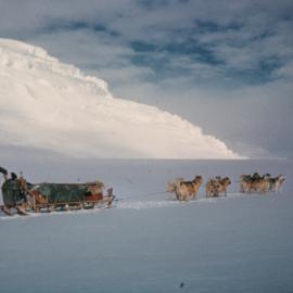 W Herbert driving dog team 