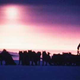 Spring Sledging on Sea Ice 
