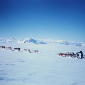 Ascending Husky Dome (11,800') with a Dog Team