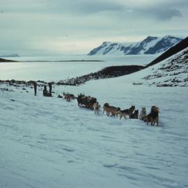 Dog teams crossing low Moraine Ridge 