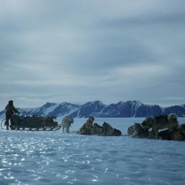 Dog Sledge on Blue Ice