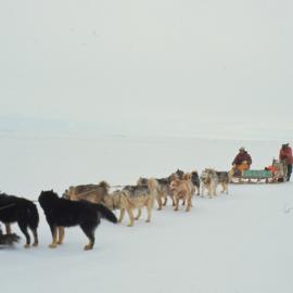 Dog Team with Sledge