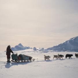 Dog Team Pulling Sledge
