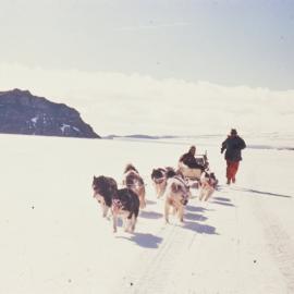 Dog Sledging trip Royds & Evans 