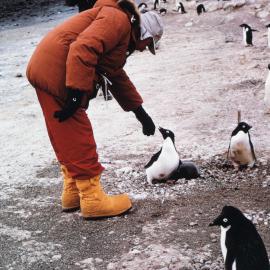 Sir Arthur Espie Porritt, Governor General of NZ at Cape Royds