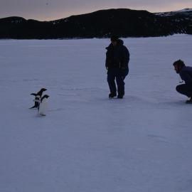 Princess Anne meets Adelie penguins with David Geddes