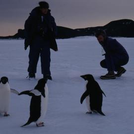 Princess Anne meets Adelie penguins with David Geddes