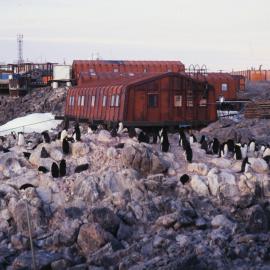 Kapitan Khlebnikov Tour: Dumont D'Urville Airstrip 
