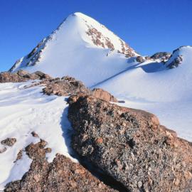 Farthest south known location of lichens 