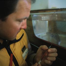 Physiology of Antarctic fish 