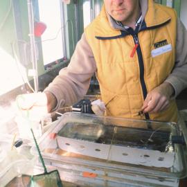 Physiology of Antarctic Fish 