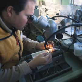 Physiology of Antarctic Fish 