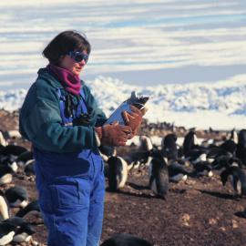 ITN Media Visit:  Cambridge University's Fiona Hunter at Cape Bird