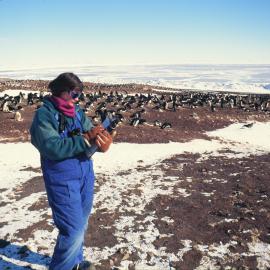 ITN Media Visit:  Fiona Hunter (K063) at Cape Bird