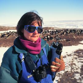 ITN Media Visit:  Fiona Hunter (K063) at Cape Bird