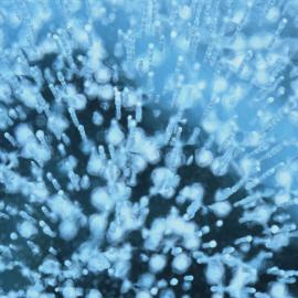 Bubbles at Lake Vanda