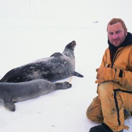 Rob Harcourt (K027) with Weddell Seals