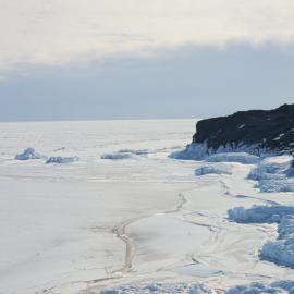 Cape Royds