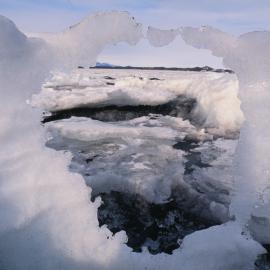 Bratina ice sculpture