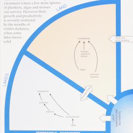 Diagram - Antarctica's terrestrial ecosystem