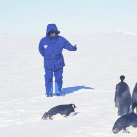 Garry Moore with Emperor penguins