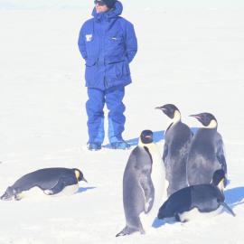 Christchurch Mayor Garry Moore with Emperor Penguins