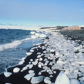 Shoreline, Cape Evans