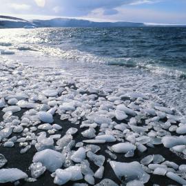 Looking north from Cape Evans to the Barne Glacier