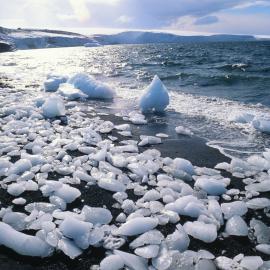 Looking north from Cape Evans to the Barne Glacier