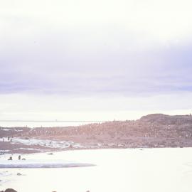 Cape Royds