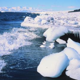 Artists in Antarctica Programme: Cape Evans