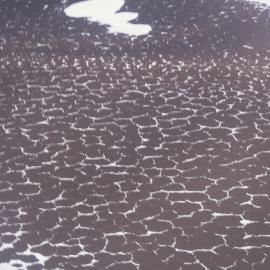 Polygonial Patterning, Asgard Range, aerial view