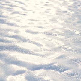 Sea ice near Turtle Rock