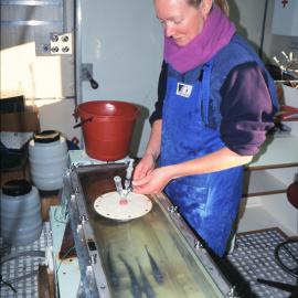 Experiments with Antarctic Fish