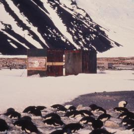 Hallett Refuge Hut