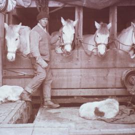 Captain Oates with Ponies on Board the 'Terra Nova'