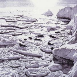 Seals Basking on Newly Formed Pancake Ice