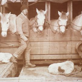 Oates with the Ponies on board the Terra Nova