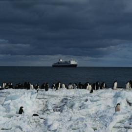 Adelie Penguins with 'Frontier Spirit'