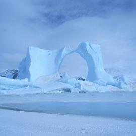 Iceberg near Cape Hallett camp