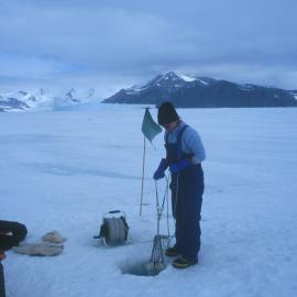 Plankton sampling through sea ice hole near Cape Hallett camp