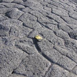 Glove lying on ground