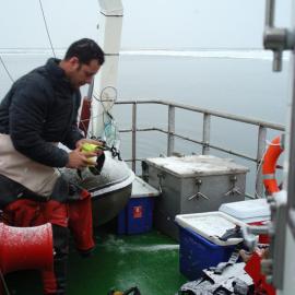 K083: NIWA: Italian Antarctic programme: Victoria Land Transect