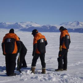 Three people with backs to camera digging