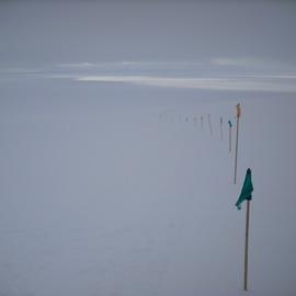 Flags in the landscape