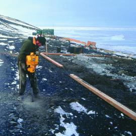 New Cape Bird hut site