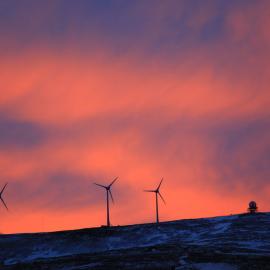 The wind turbines against a pink sky