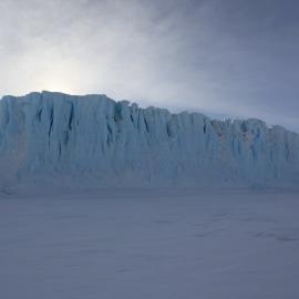 Album: wind farm in pink light with nacreous clouds, penguins