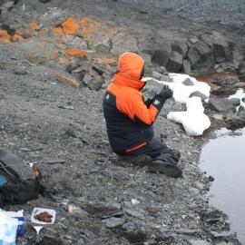 Water sampling at Cape Royds